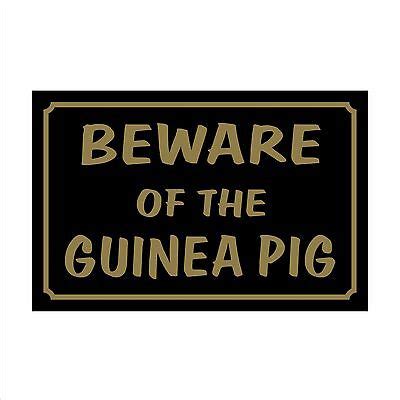 Beware Of The Guinea Pig Mm X Mm Plastic Sign Sticker House