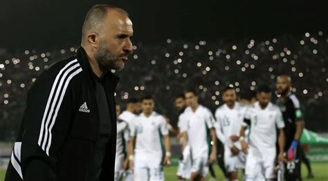 Djamel Belmadi démissionne de la sélection algérienne