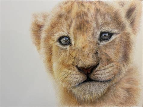 Lion Cub - Fine Art by Janna