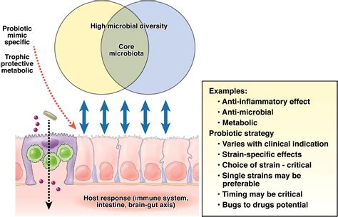 Probiotics In Transition Clinical Gastroenterology And Hepatology