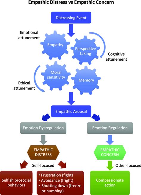 A Model Of Empathic Arousal Through Emotion Regulation That Leads To