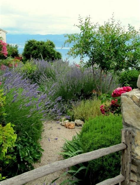 South of Italy in Your Garden - What Plants to Grow? - Tidylife