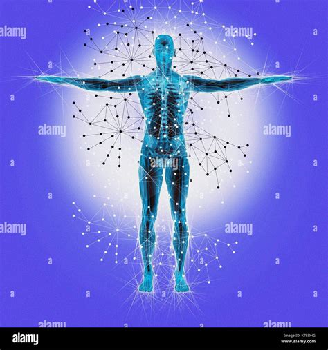 Atomic Structure Of The Human Body Illustration Stock Photo Alamy