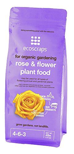 13 Best Fertilizer For Roses Reviews Guide