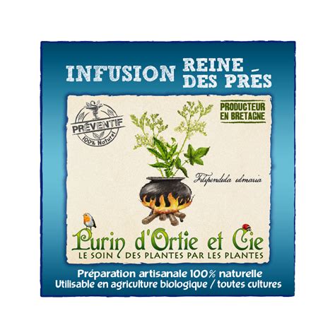 Infusion Reine des Près