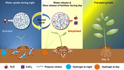 Smart Soil Technology Transforming Agriculture With Enhanced Hydration