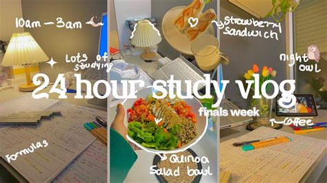 24 Hour Study Vlog 10am To 3am Study Preparing For Finals