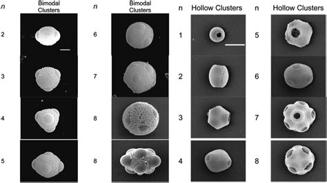 Colloidal Capsules Nano And Microcapsules With Colloidal Particle