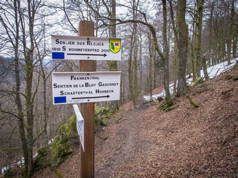 Hiking in the Vosges Mountains | Freeranger Canoe