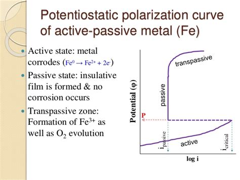 Polarization Curve Coating Ca