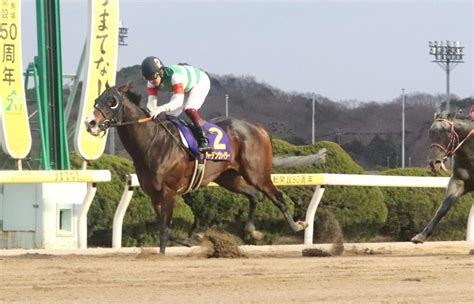 重賞2勝バーデンヴァイラーが屈腱炎で引退半姉はbcディスタフ制覇マルシュロレーヌ 競馬写真ニュース 日刊スポーツ