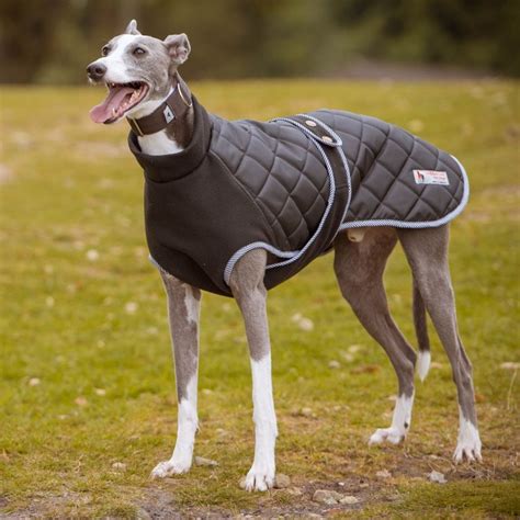 Kent Quilted Fleece Hound Coat Fully Washable And Warm Dog Coats