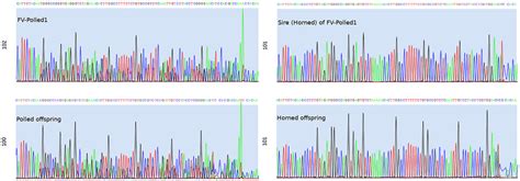 The Chromatograms Of The Sanger Sequencing Of The Region Involving