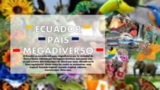 Ecuador Pa S Megadiverso Ppt