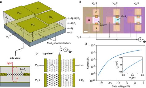 Physical implementation using a 2D semiconductor a Schematic of the ...