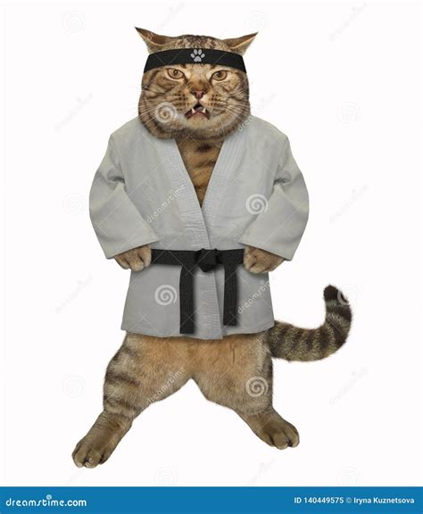 Cat Karate In A Kimono Stock Image Image Of Medal Champion 140449575