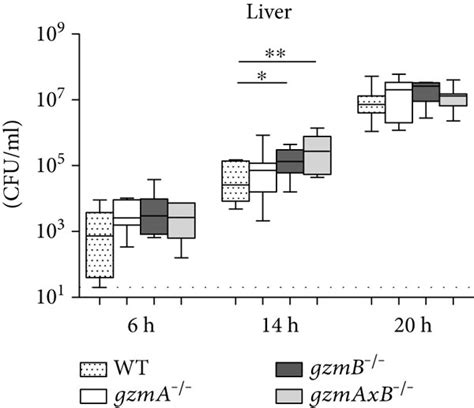 Bacterial Loads In Peritoneal Lavage Fluid PLF Blood Liver And