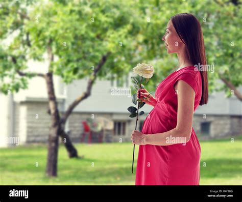 Happy Pregnant Woman With Rose Flower Stock Photo Alamy