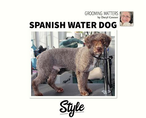 Spanish Water Dog Style - Groomer to Groomer