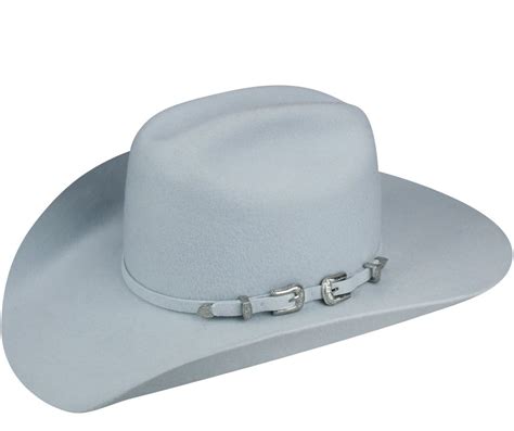 Renegade Punchy Cowboy Hat