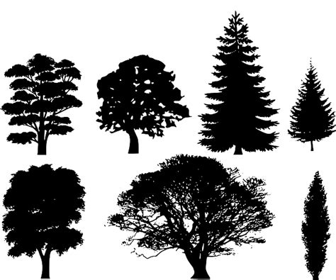 Tree Silhouette Vector Png