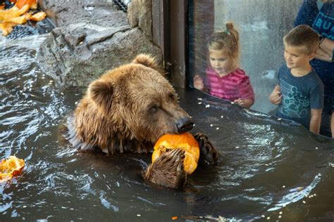 Denny Sanford Commits $35 Million for Sioux Falls Zoo and Aquarium