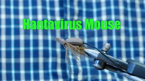 Hantavirus Mouse Pattern On Vimeo