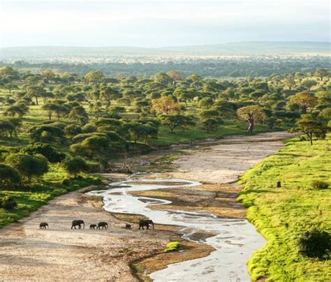 What A View Review Of Tarangire Safari Lodge Tarangire National