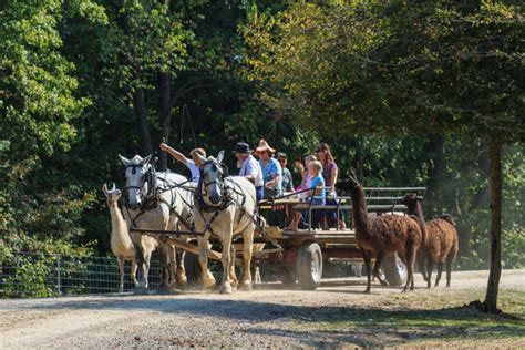 The Farm at Walnut Creek - Discover Holmes County Ohio