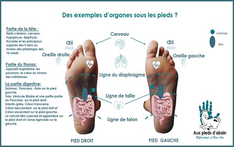 Réflexologie Plantaire