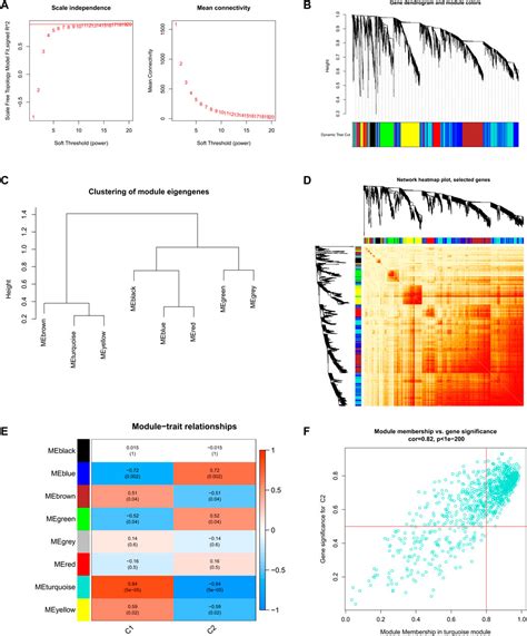 Frontiers Identification And Immuno Infiltration Analysis Of