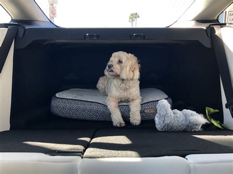 Modification To Turn M3 Trunk W Back Seats Down Into A Dog Crate