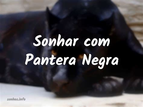 Sonhar Pantera Negra Sonhos Info