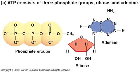 Chemical Decomposition