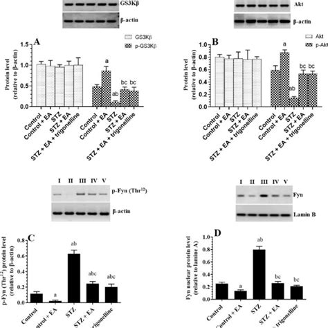 Effect Of Ellagic Acid Ea On Total Protein Levels Of Bcl A