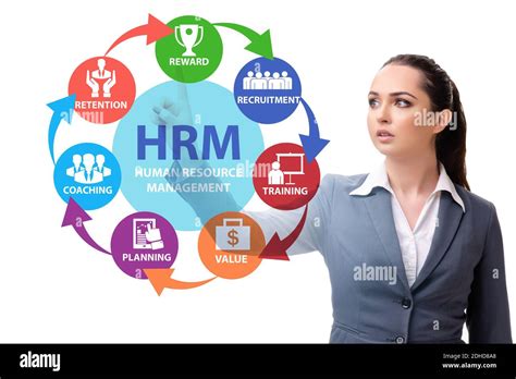 Hrm Human Resource Management Concept With Businesswoman Stock Photo