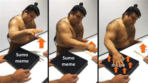 Me When I See A Sumo Meme Rsumomemes