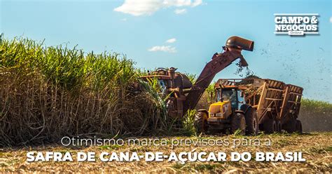 Otimismo marca previsões para a safra de cana de açúcar do Brasil