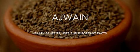 Ajwain Health Benefits Uses And Important Facts Potsandpans India