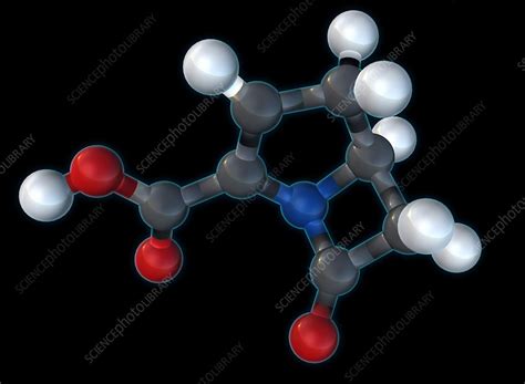 Carbapenem Molecular Model, illustration - Stock Image - C027/9310 ...