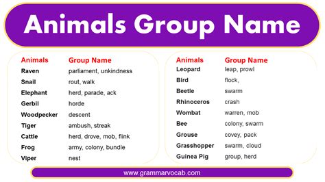 Animals Group Name: Animals Vocabulary | PDF - GrammarVocab