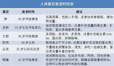 人体哪个器官，会先开始老化？一张表给你总结器官肌肉发质新浪新闻