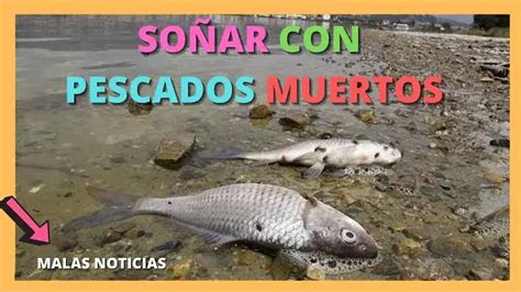 Descubre El Significado De So Ar Con Peces En Agua Sucia