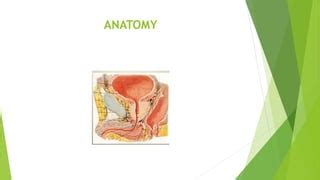 URETHRAL INJURY AND URETHRAL CARUNCLE.pptx