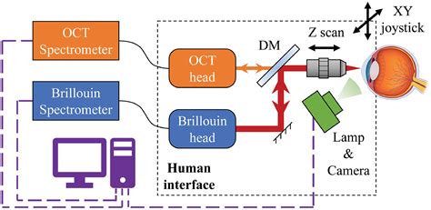 Motion Tracking Brillouin Microscopy Evaluation Of Normal Keratoconic