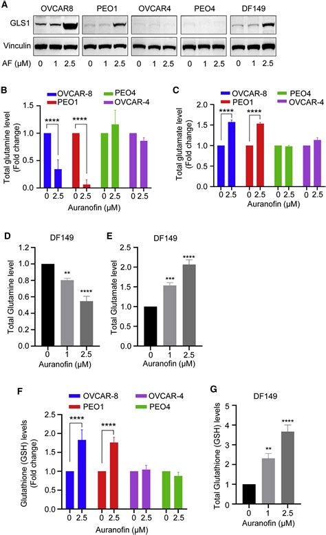 Combined Thioredoxin Reductase And Glutaminase Inhibition Exerts