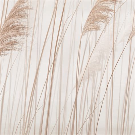 Meadow Reeds Beige H11902 купить по цене интернет магазина Hygge Wall