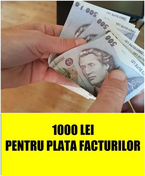 Proiect Câte 1000 de lei de familie pentru plata facturilor la energie