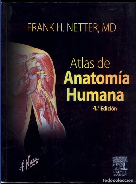 Atlas de anatomía humana frank h netter md 4º Vendido en Venta