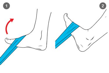 Dorsiflexi Plantar Amb Banda El Stica Entrenamientos